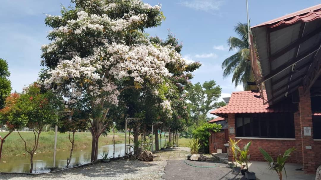 Homestay Umbai Kelana Merlimau Zewnętrze zdjęcie